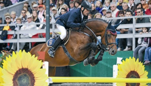 Top 10 Show Jumping Stallions In The World